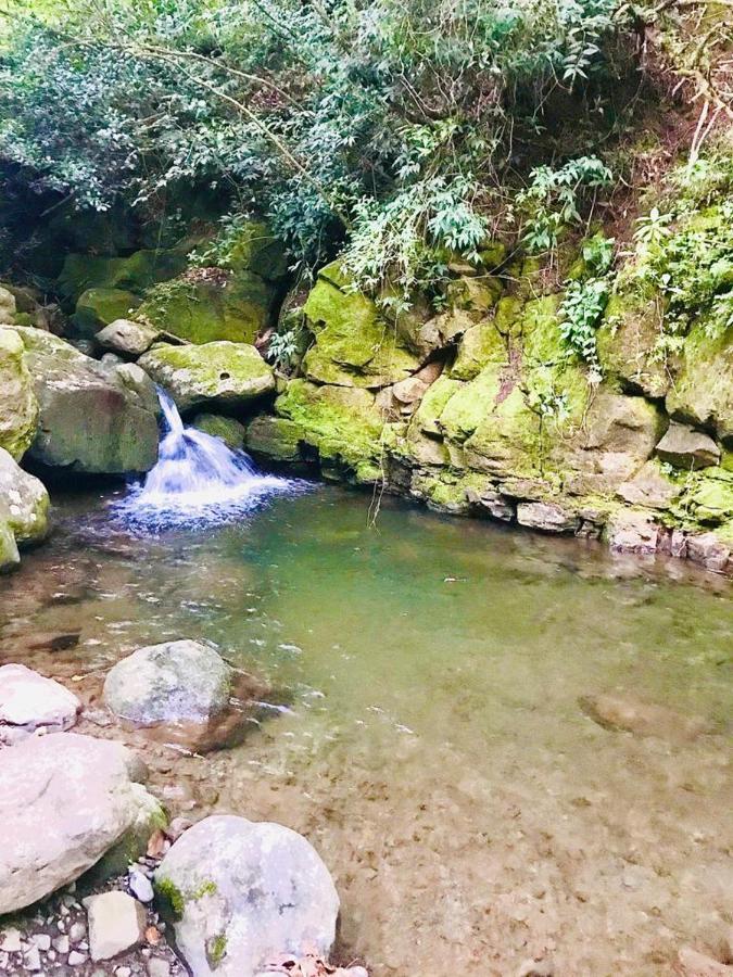 Cabana Treehouse Mountain View San Isidro  ภายนอก รูปภาพ