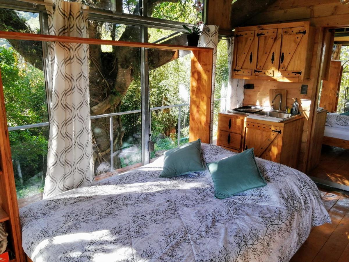 Cabana Treehouse Mountain View San Isidro  ภายนอก รูปภาพ