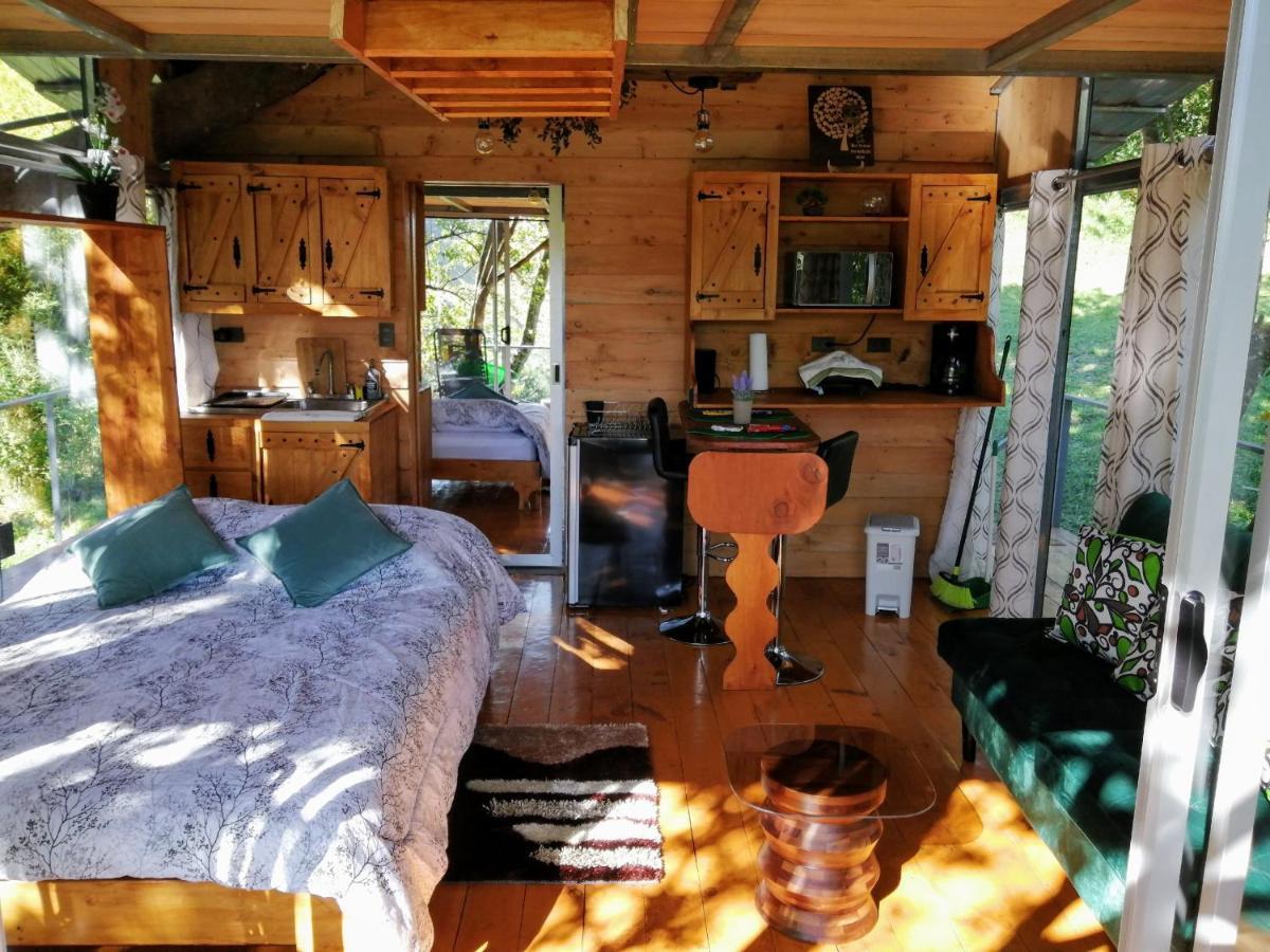 Cabana Treehouse Mountain View San Isidro  ภายนอก รูปภาพ